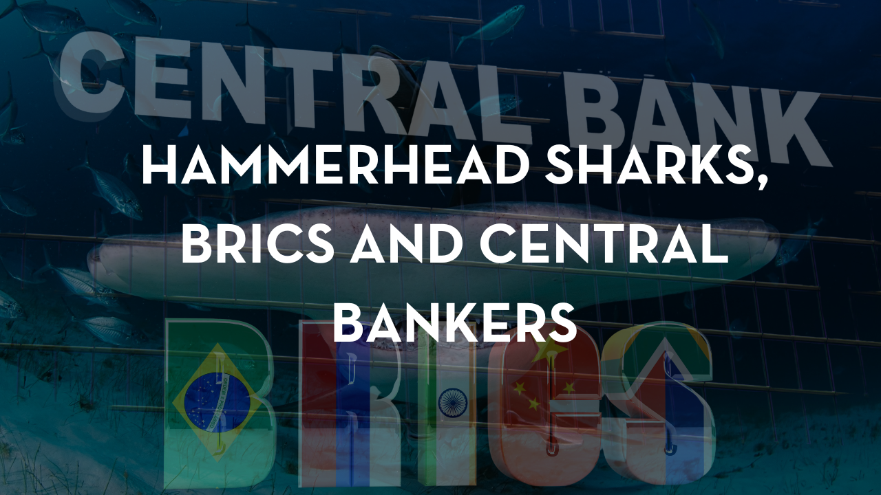 Hammerhead Sharks, BRICS and Central Bankers